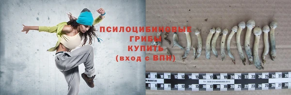 спиды Беломорск