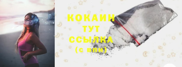 мдпв Белокуриха
