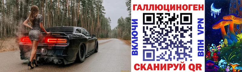 Псилоцибиновые грибы прущие грибы Северо-Курильск